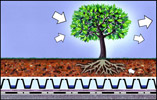 green roofs improve the microclimate