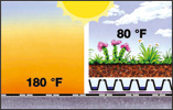 Green roofs reduce renovation costs