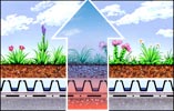 Green roofs reduce energy costs