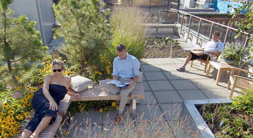 roof garden roof garden