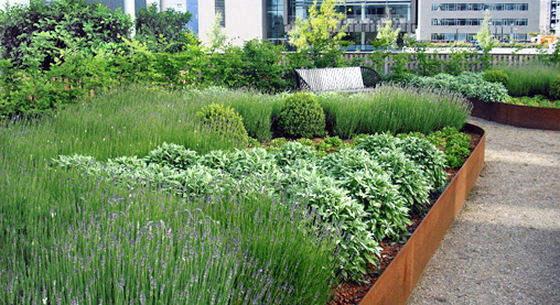 cobertura verde semi-extensiva cobertura verde semi-extensiva