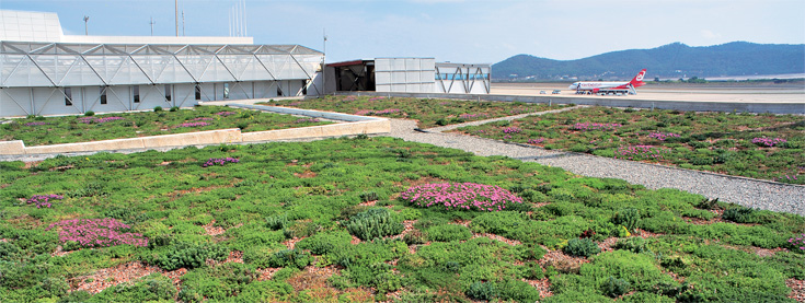 cobertura ecologica cobertura ecologica