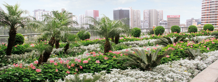 cobertura ecologica inclinada cobertura ecologica inclinada